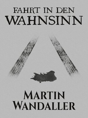cover image of Fahrt in den Wahnsinn